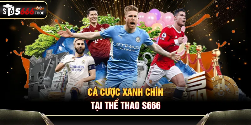 Cá cược xanh chín tại thể thao S666