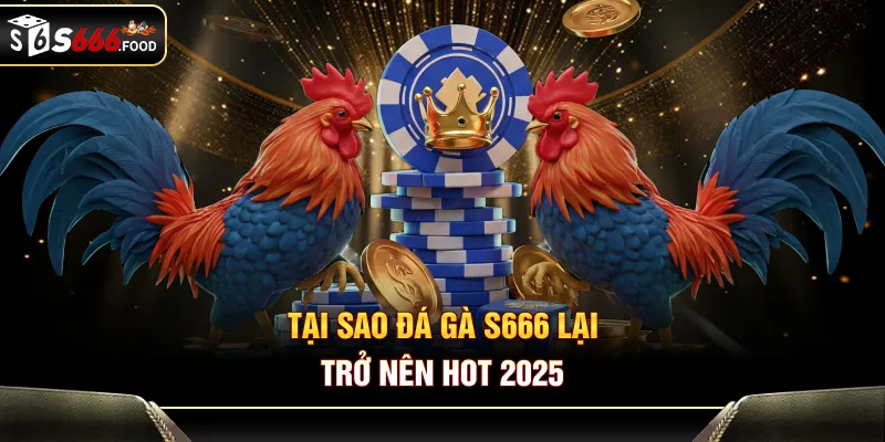 Tại sao đá gà S666 lại trở nên hot 2025
